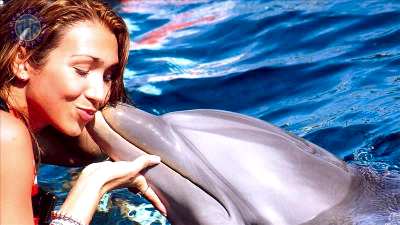 Swiming with dolphins in Kundu
