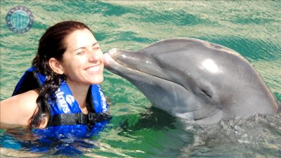 Zwemmen met dolfijnen Kundu