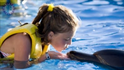 Swiming with dolphins in Kundu