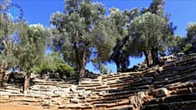 Cleopatra Island Boat Trip from Icmeler