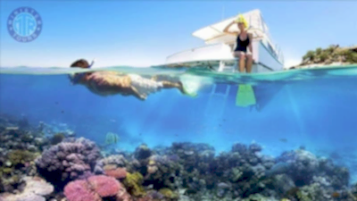 Marmaris Şnorkelle Dalış Turu
