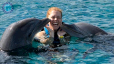 Pływaj z delfinami Turunc