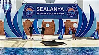 Incekum dolphin park