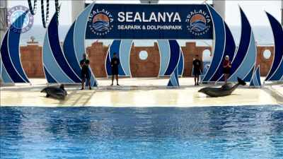 Sealanya dolphinpark in Turkler