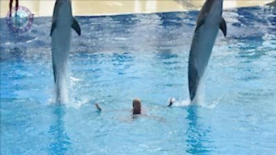 Delfinarium z Mahmutlar