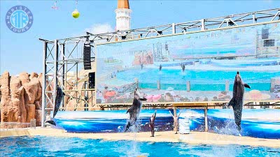 Avsallar land of legends tour