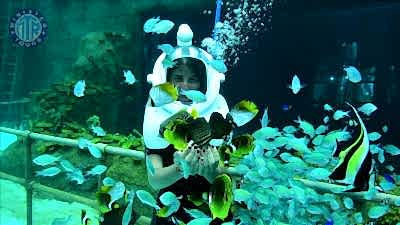 The Land of Legends Tour from Incekum