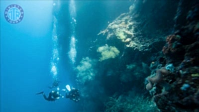Diving in Okurcalar