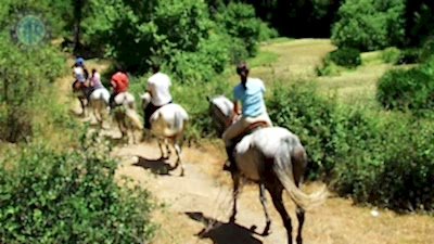 Türkler at binme turu