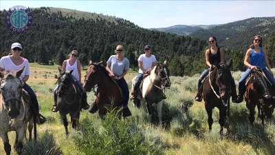 Avsallar horseback riding