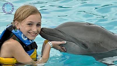 Nager avec les dauphins Konakli