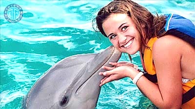 Dolphins therapy in Mahmutlar