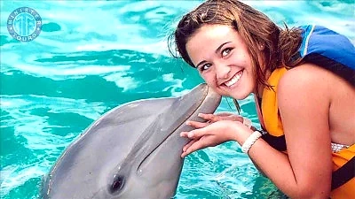 Alanya yunuslarla yüzme