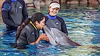 Dolphins therapy in Mahmutlar