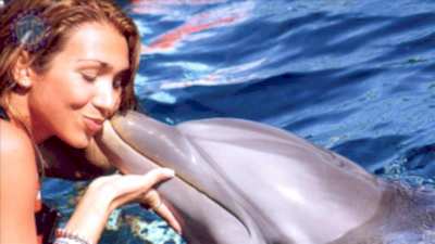Incekum dolphin therapy