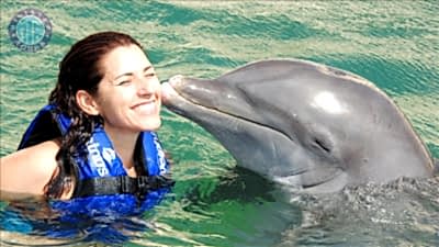 Swimming with Dolphins in Kestel