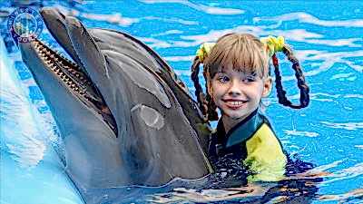 Swim with Dolphins in Konakli