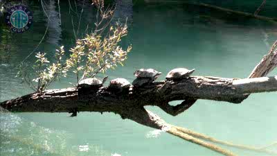 Manavgat river boat tour from Konakli