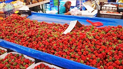 Avsallar'dan Manavgat Tekne Turu