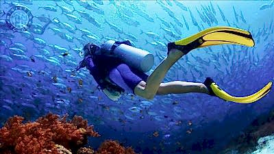 Diving in Manavgat Turkey