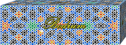 Bodrum çıkışlı turlar